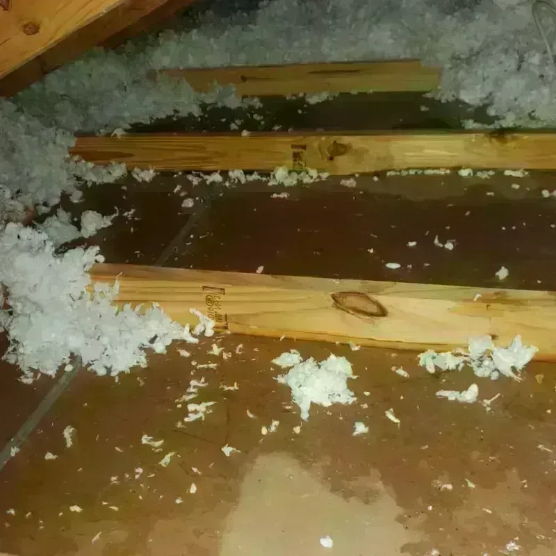 Attic Water Damage in Oakdale, PA