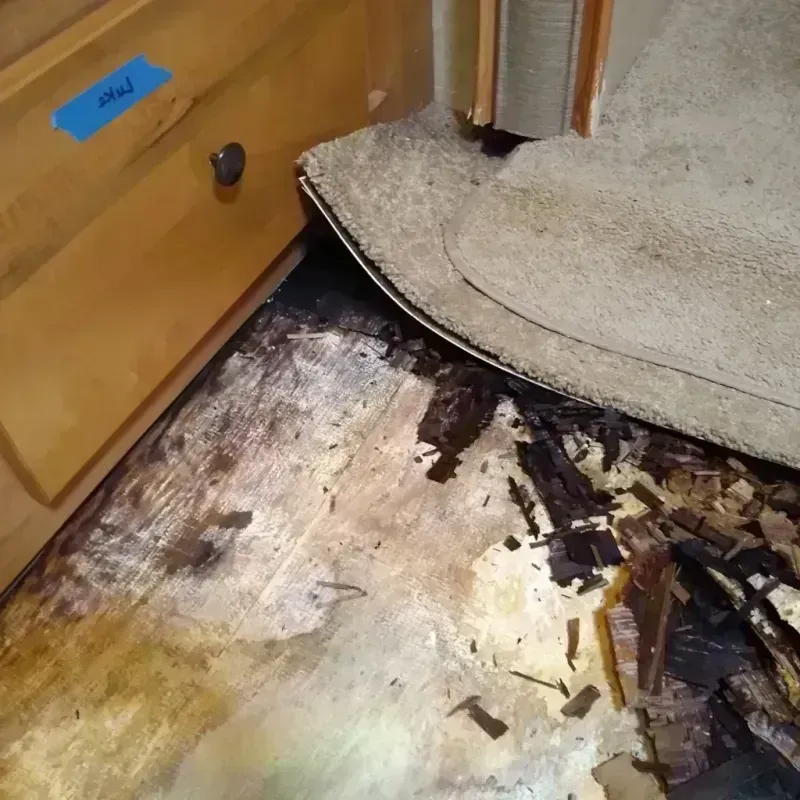 Wood Floor Water Damage in Oakdale, PA